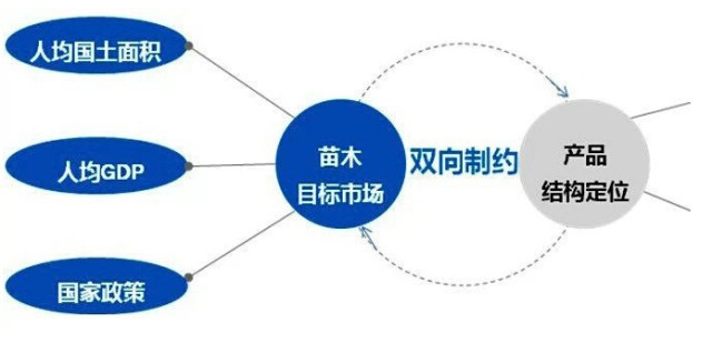 學習國外苗木行業經驗，搶先了解國內市場動態