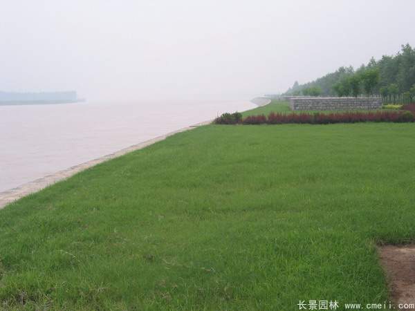 河提邊坡植草護坡綠化圖片