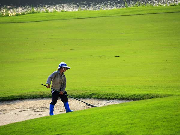 高爾夫球場草坪圖片