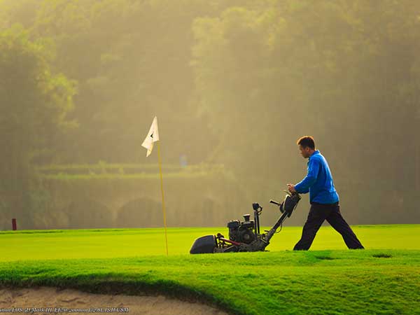 高爾夫球場草坪圖片