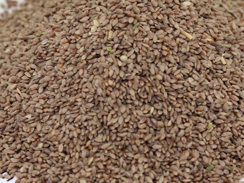 脫殼狗牙根種子 脫殼狗牙根種子