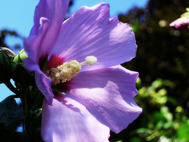 1650003306907204.jpg 1650003306907204.jpg