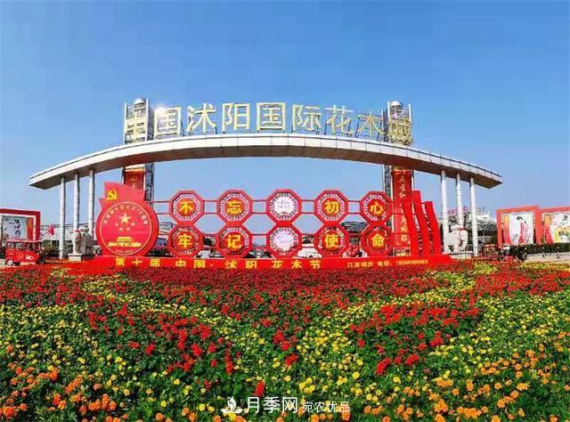 值得收藏！這些全國著名苗木產地你知道幾個？