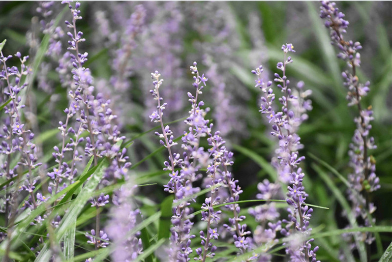 1673081932741369.png 微信圖片_20230107165752.png