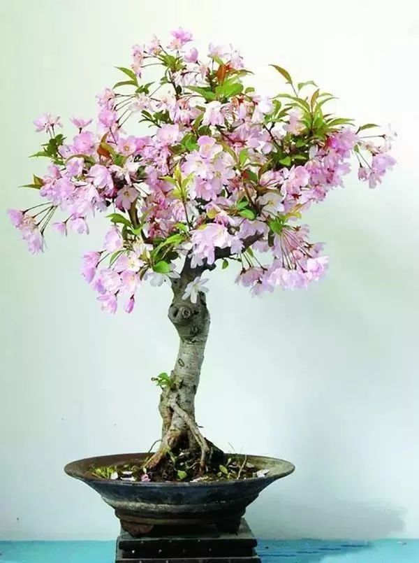 1673082710512079.jpg 微信圖片_20230107171111.jpg