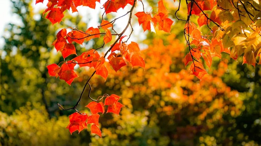 1673082939876174.jpg 微信圖片_20230107171432.jpg