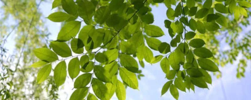 1673091796131246.jpg 微信圖片_20221025220203.jpg