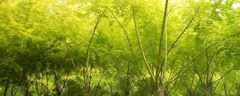 1673091817144908.jpg 微信圖片_20221025220220.jpg