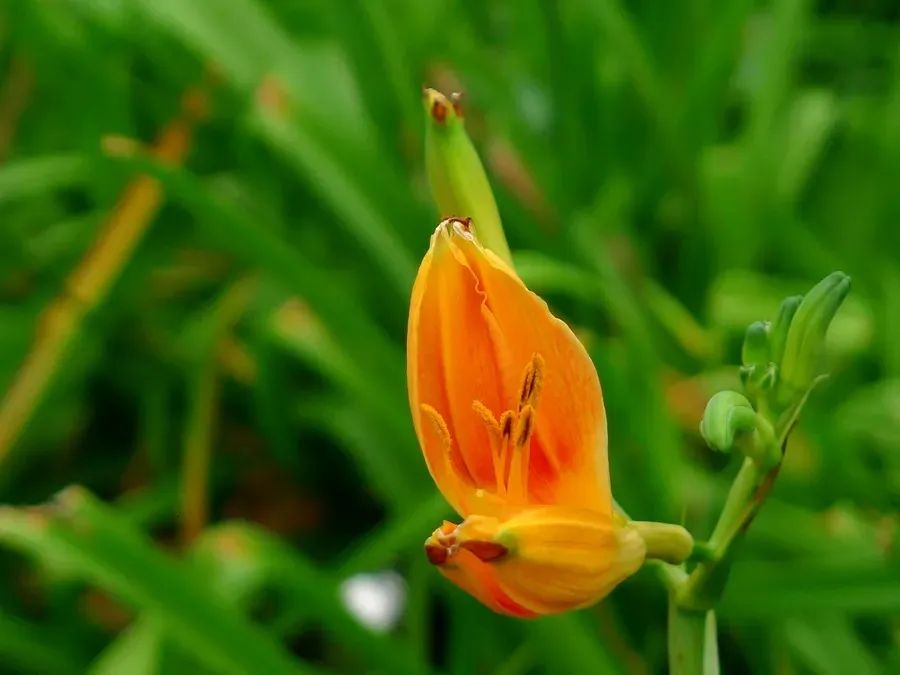 1673151832197396.jpg 微信圖片_20230108122301.jpg