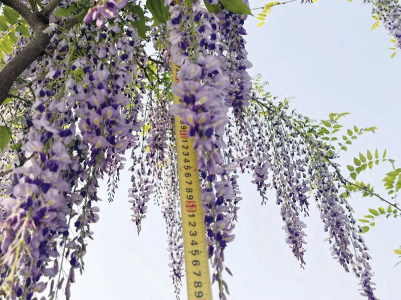 1673151890810840.jpg 微信圖片_20220818221258.jpg