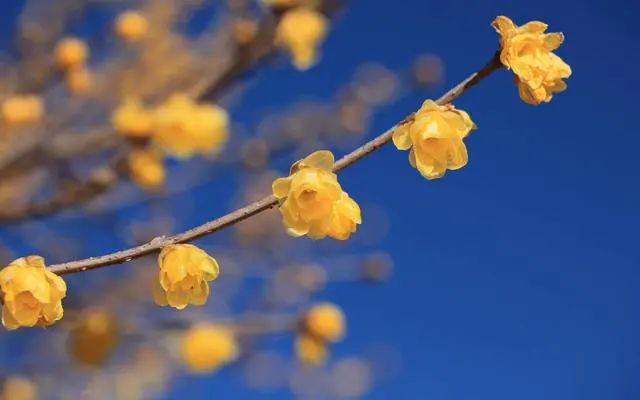 1673152625777816.jpg 微信圖片_20221023232852.jpg