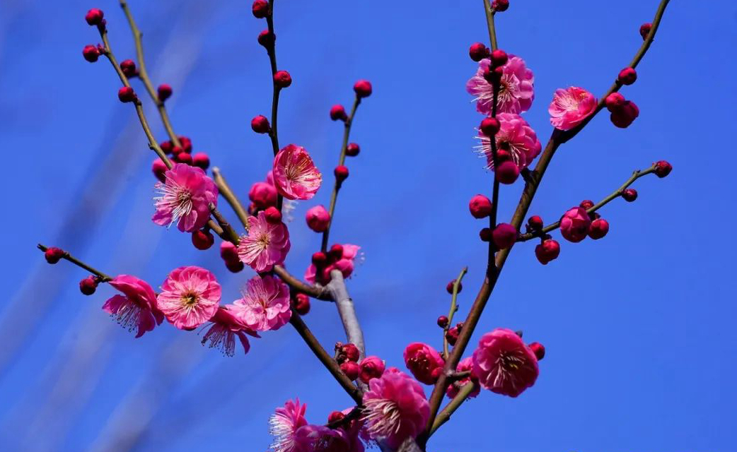 1673153023858997.jpg 微信圖片_20230108124147.jpg