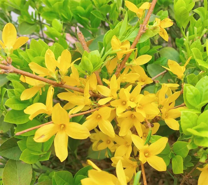 1673153398729815.jpg 微信圖片_20221120165337.jpg