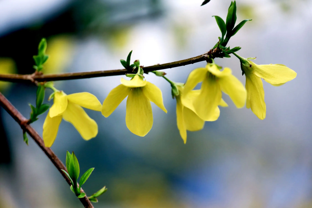 1673153405605951.png 微信圖片_20221120165349.png