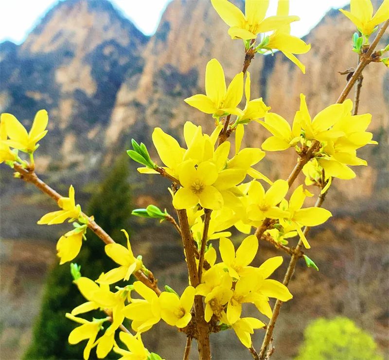 1673153412988951.jpg 微信圖片_20221120165352.jpg