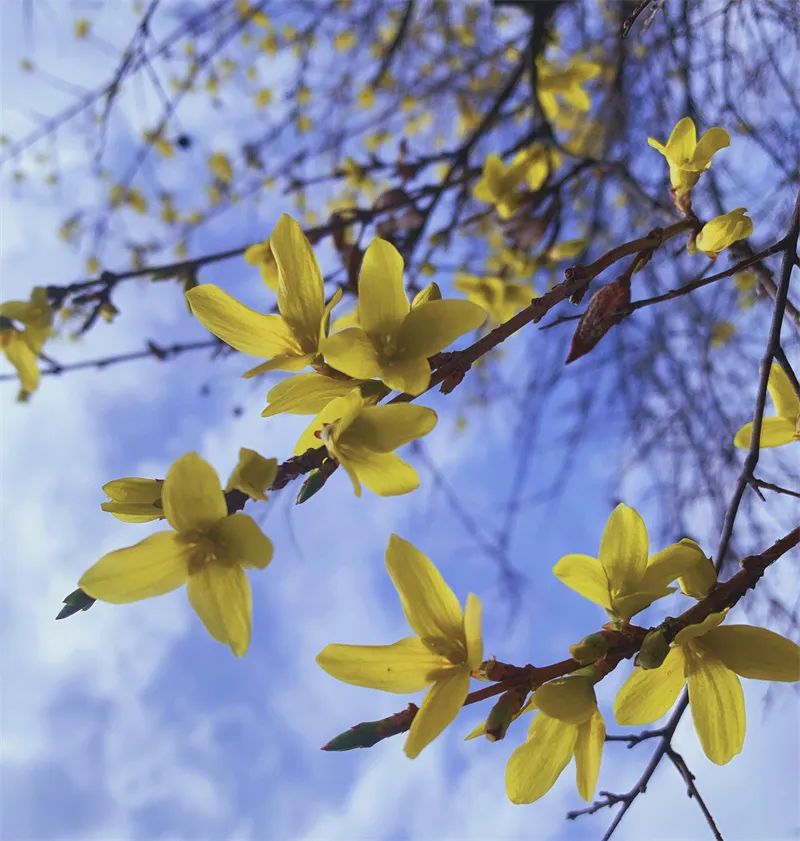 1673153417858632.jpg 微信圖片_20221120165355.jpg