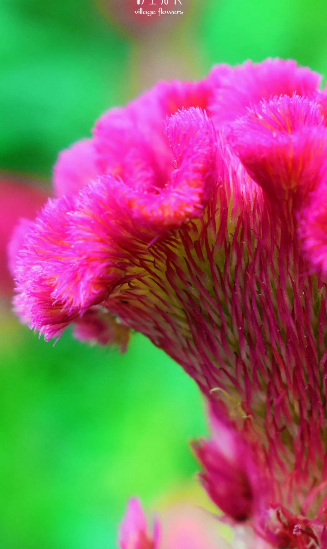 1673153586154644.jpg 微信圖片_20230108125136.jpg