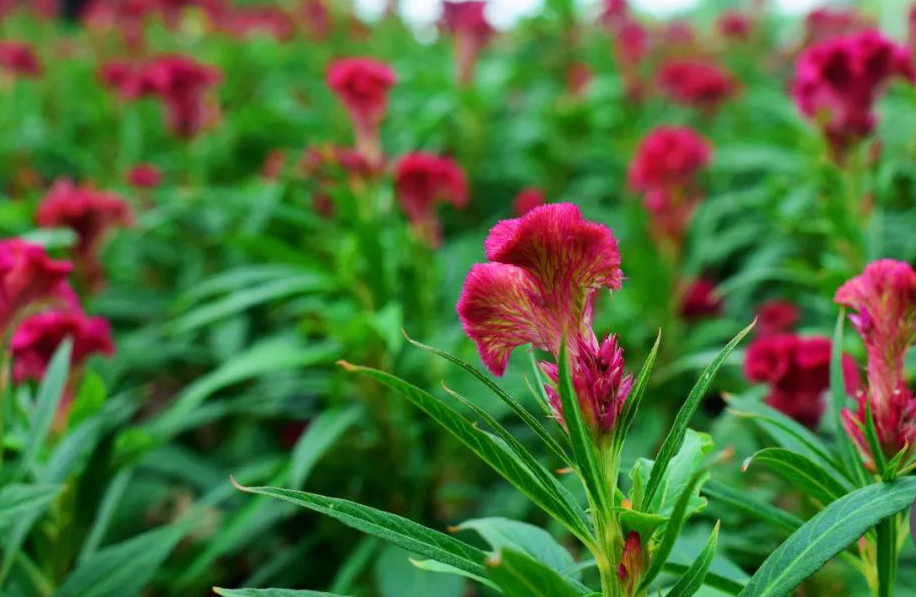 1673153593936788.jpg 微信圖片_20230108125152.jpg