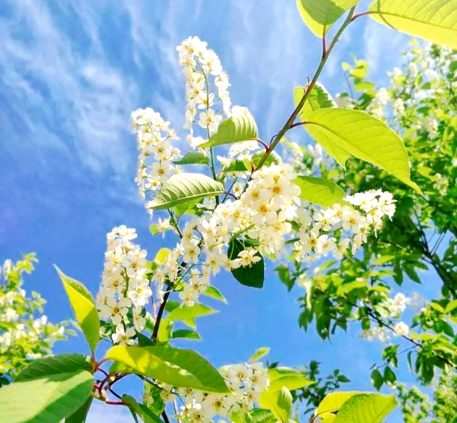 1673153922988837.png 微信圖片_20230108125716.png