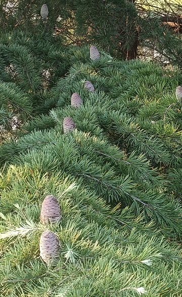 1673452492741549.png 微信圖片_20230111235418.png