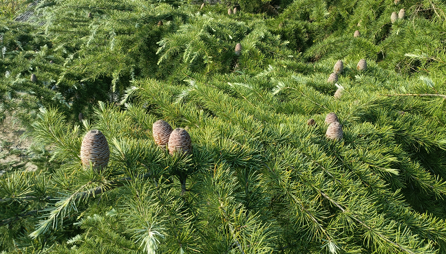 1673452509429449.png 微信圖片_20230111235414.png