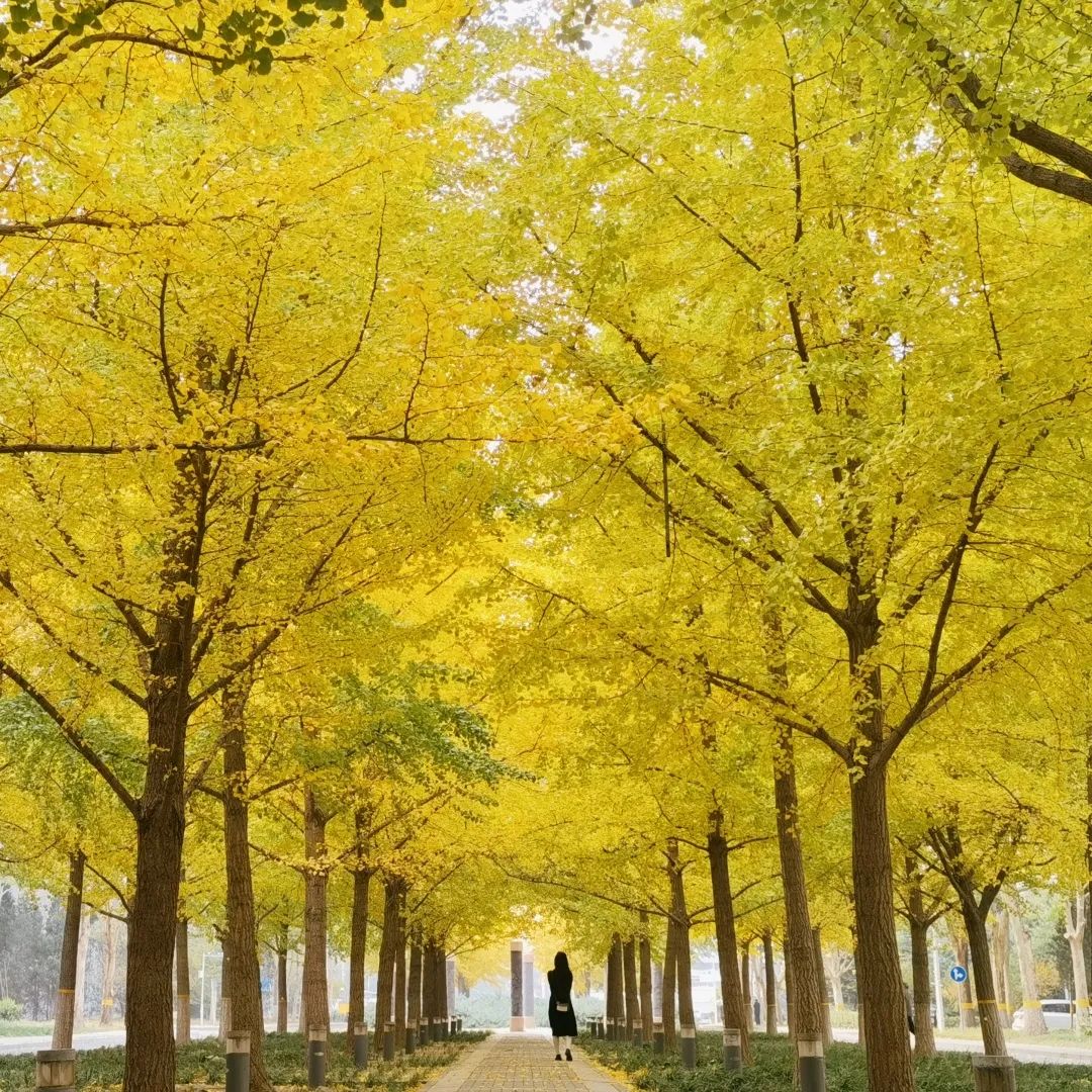 1675196697992527.jpg 微信圖片_20221126001420.jpg