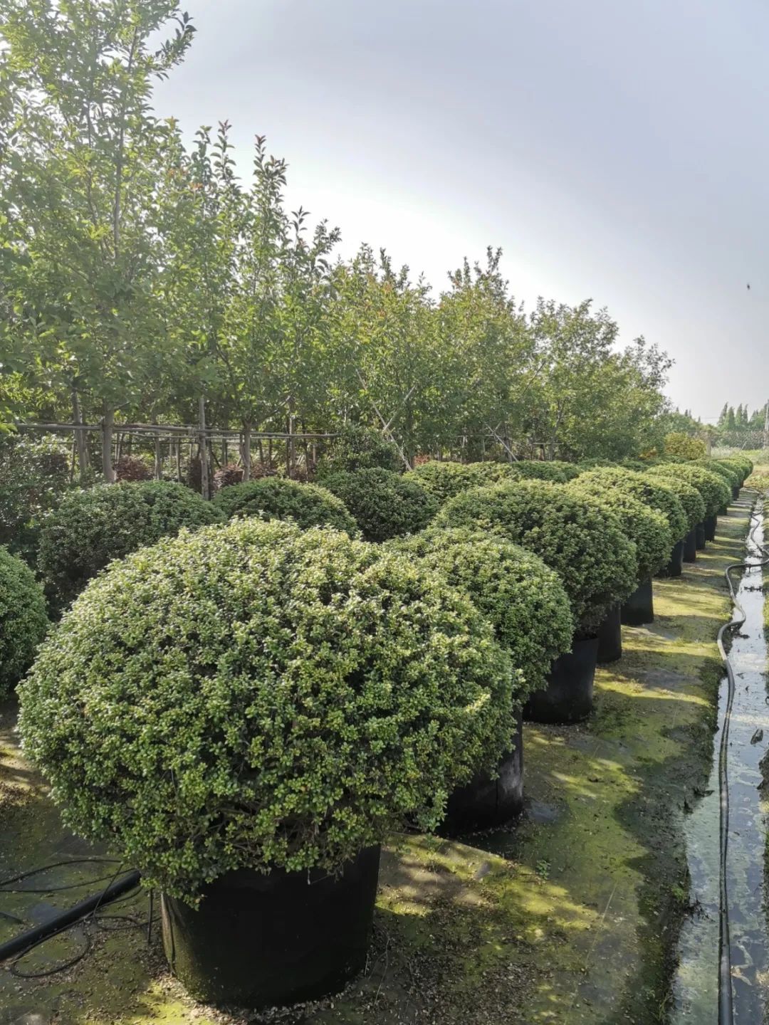 1675197179751351.jpg 微信圖片_20230201043206.jpg