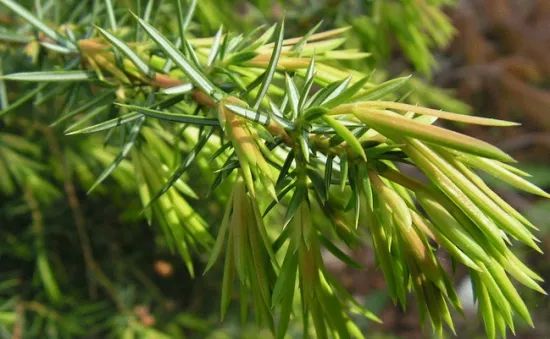 1675197917507076.jpg 微信圖片_20230107193600.jpg