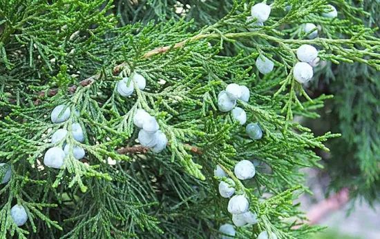 1675197942673493.jpg 微信圖片_20230107193628.jpg