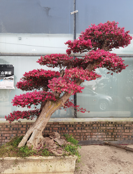 1675198334214347.png 微信圖片_20230201043812.png