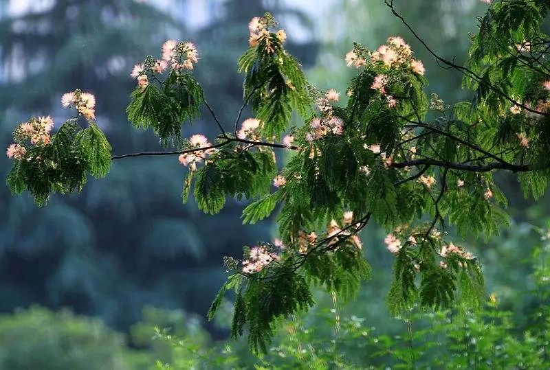 1675198607450176.jpg 微信圖片_20230201045504.jpg