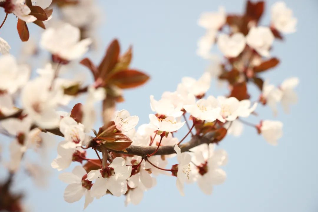 1675198685504303.jpg 微信圖片_20230107162436.jpg