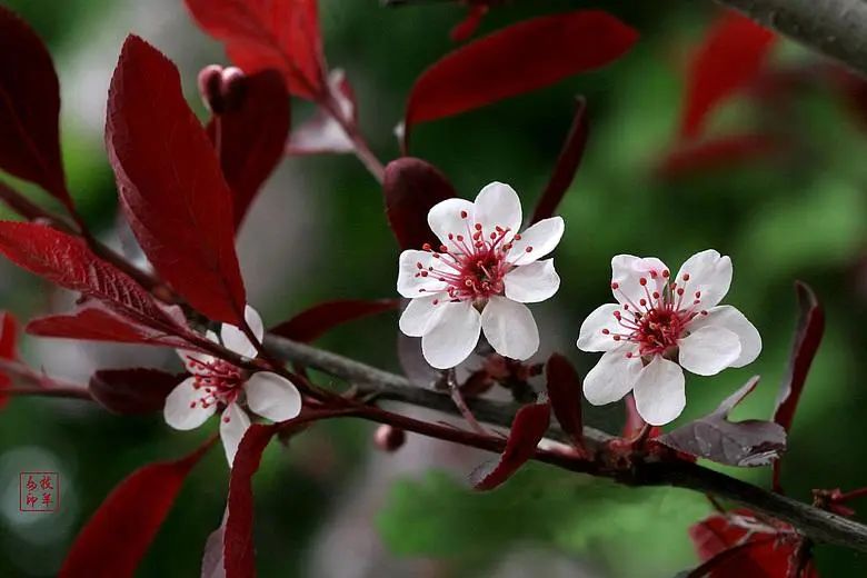 1675198693616631.jpg 微信圖片_20230107162448.jpg