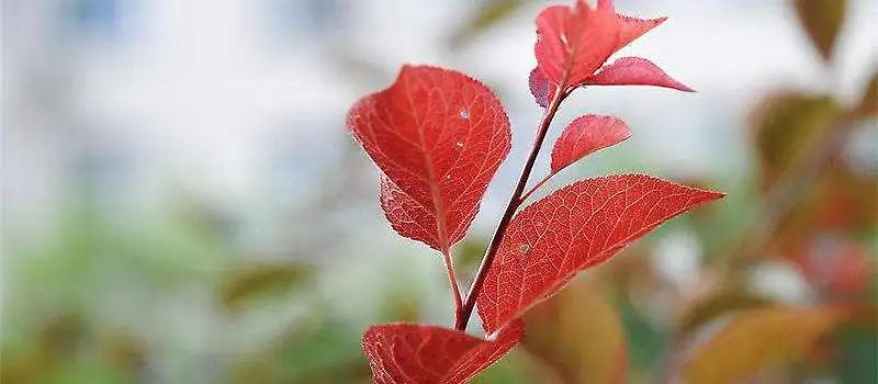 1675198699476867.jpg 微信圖片_20230107162451.jpg