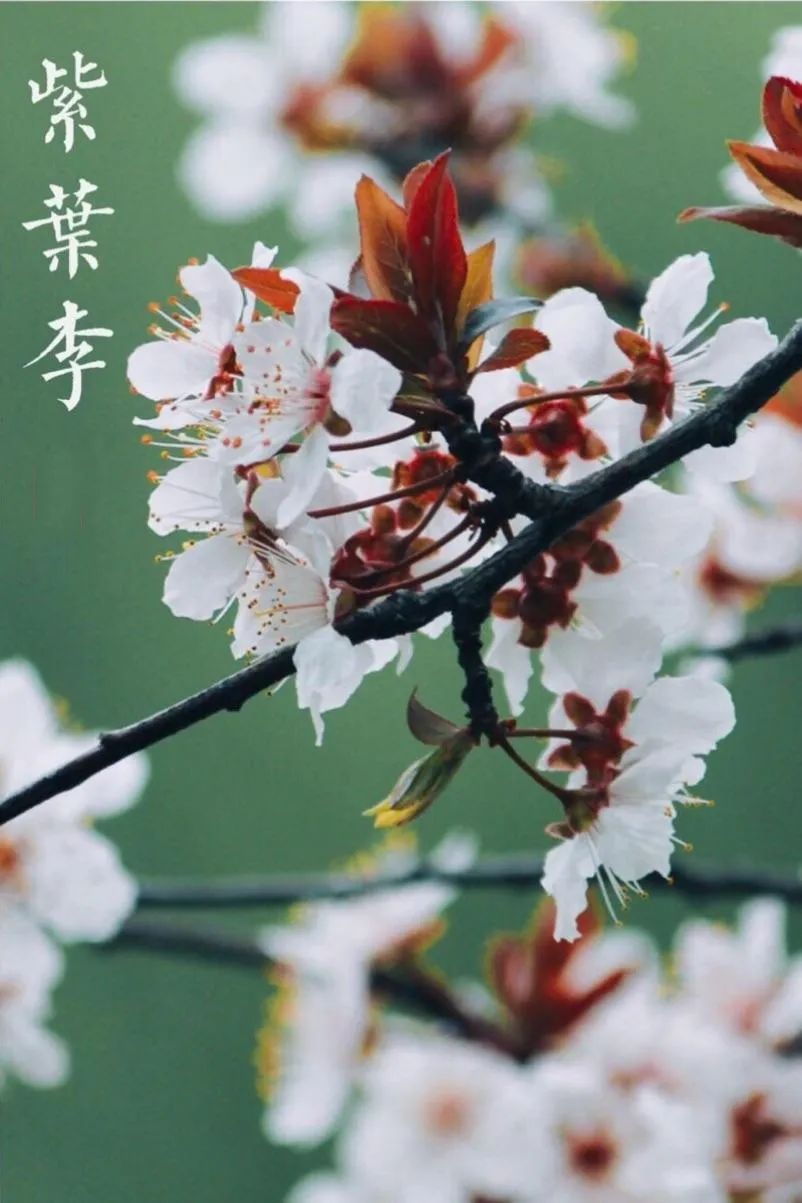 1675198707872358.jpg 微信圖片_20230107162506.jpg