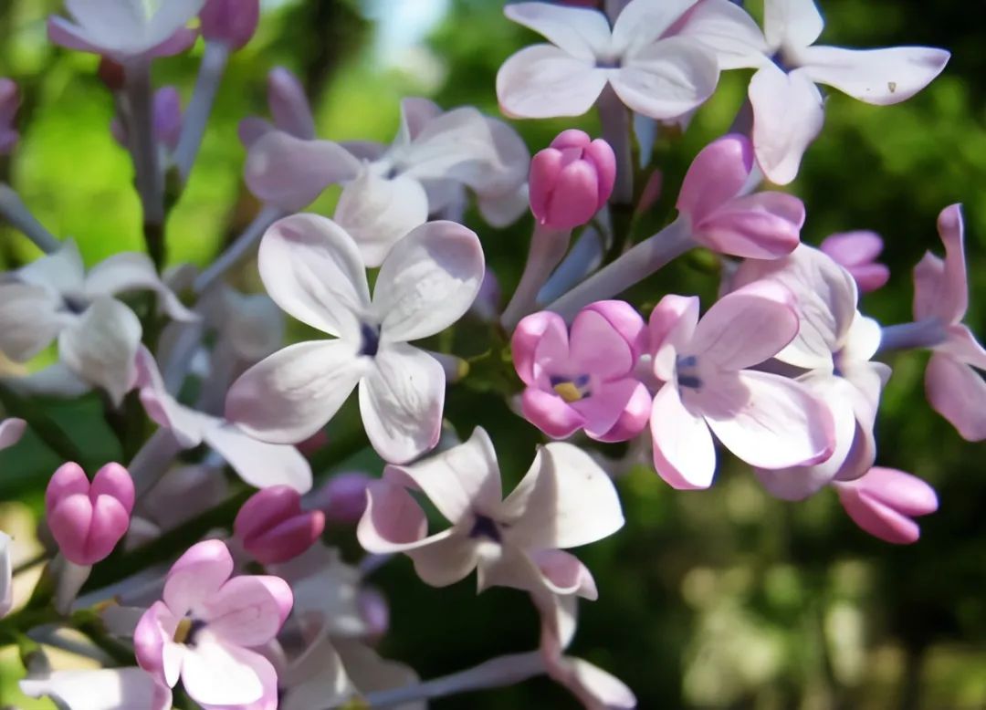 1675199155714559.jpg 微信圖片_20221104193354.jpg