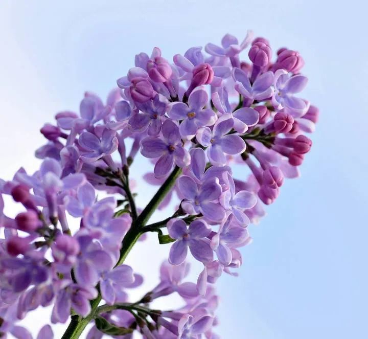 1675199162578636.jpg 微信圖片_20221104193404.jpg