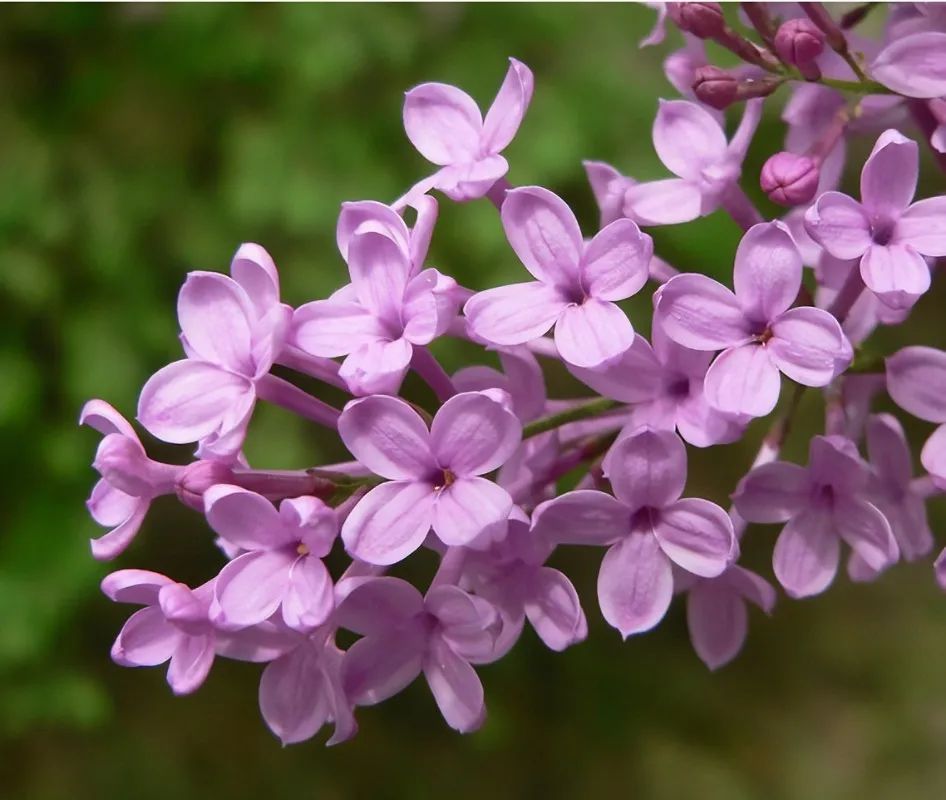 1675199176546791.jpg 微信圖片_20221104193418.jpg