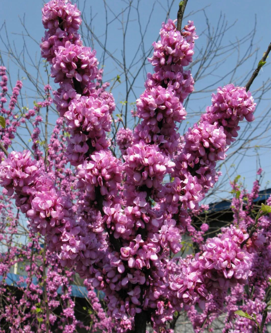 1675199582354686.jpg 微信圖片_20230201051100.jpg