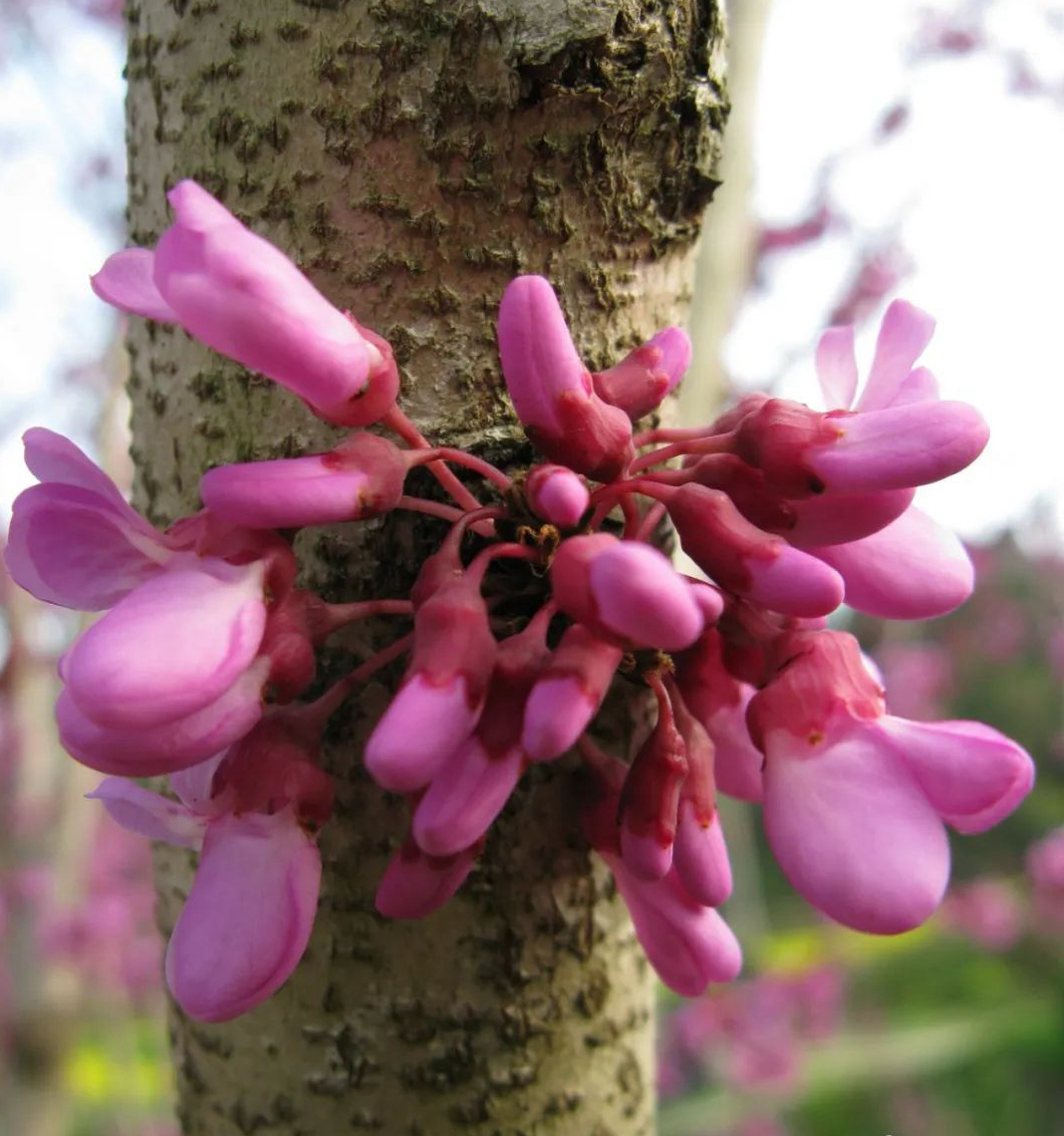 1675199592905103.jpg 微信圖片_20230201051106.jpg