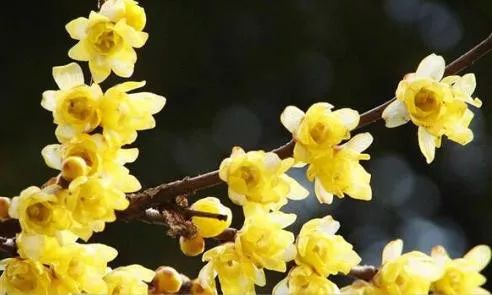 1676581617475044.jpg 微信圖片_20221120163350.jpg