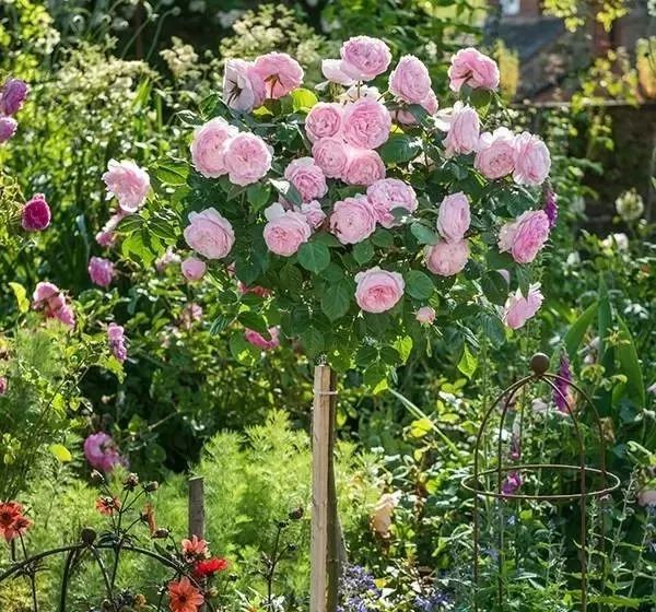 1676581693118310.jpg 微信圖片_20230211070220.jpg