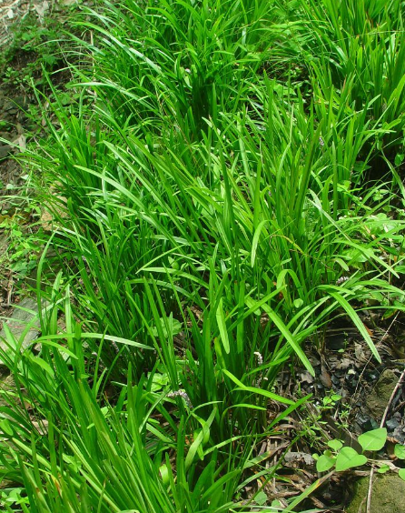 1676581855531656.png 微信圖片_20221105175457.png