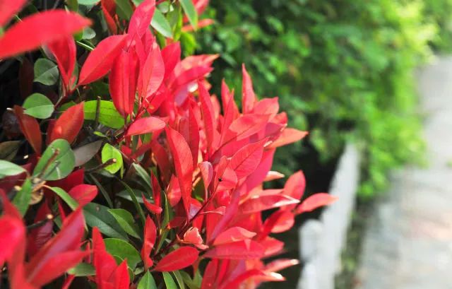 1676582127392781.jpg 微信圖片_20230204142211.jpg