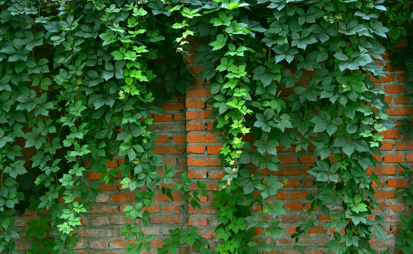 1676582319794435.png 微信圖片_20221129022410.png