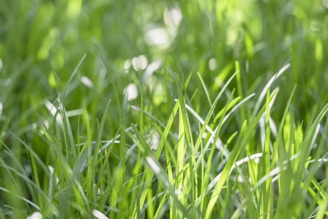 1676583474272517.jpg 微信圖片_20221023223724.jpg