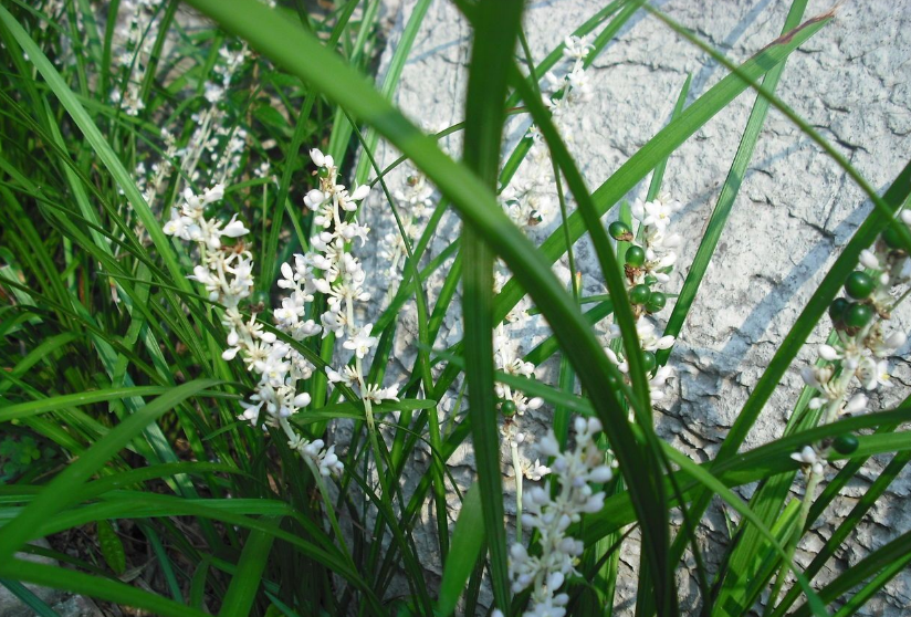 1676583483497495.png 微信圖片_20221105175437.png