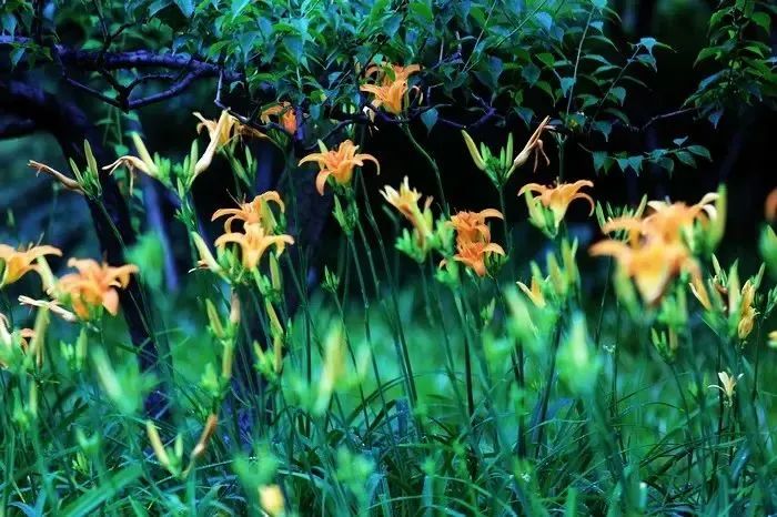 1676583733535350.jpg 微信圖片_20230108122255.jpg