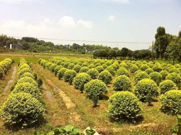 1676675369876105.jpg 微信圖片_20221028174316.jpg