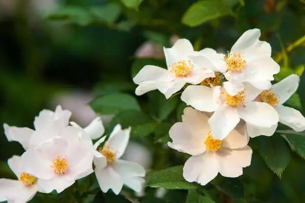 1676675449347904.jpg 微信圖片_20230108112106.jpg